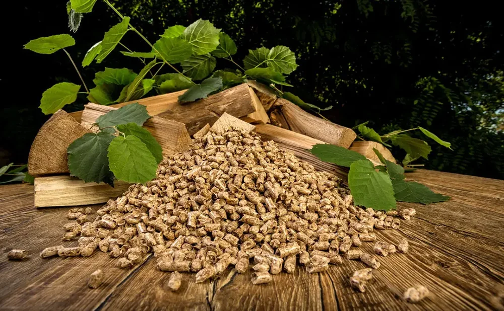 Le pellet compressé aux liants naturels